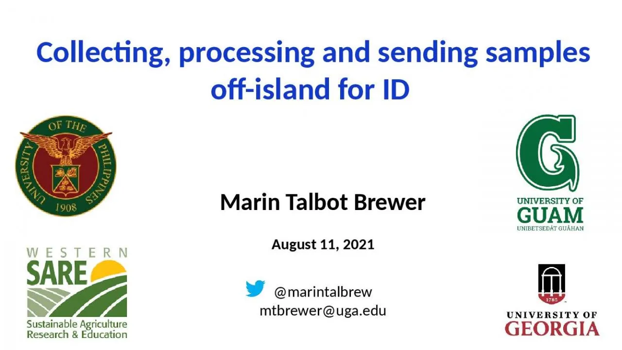 PPT-Marin Talbot Brewer August 11, 2021