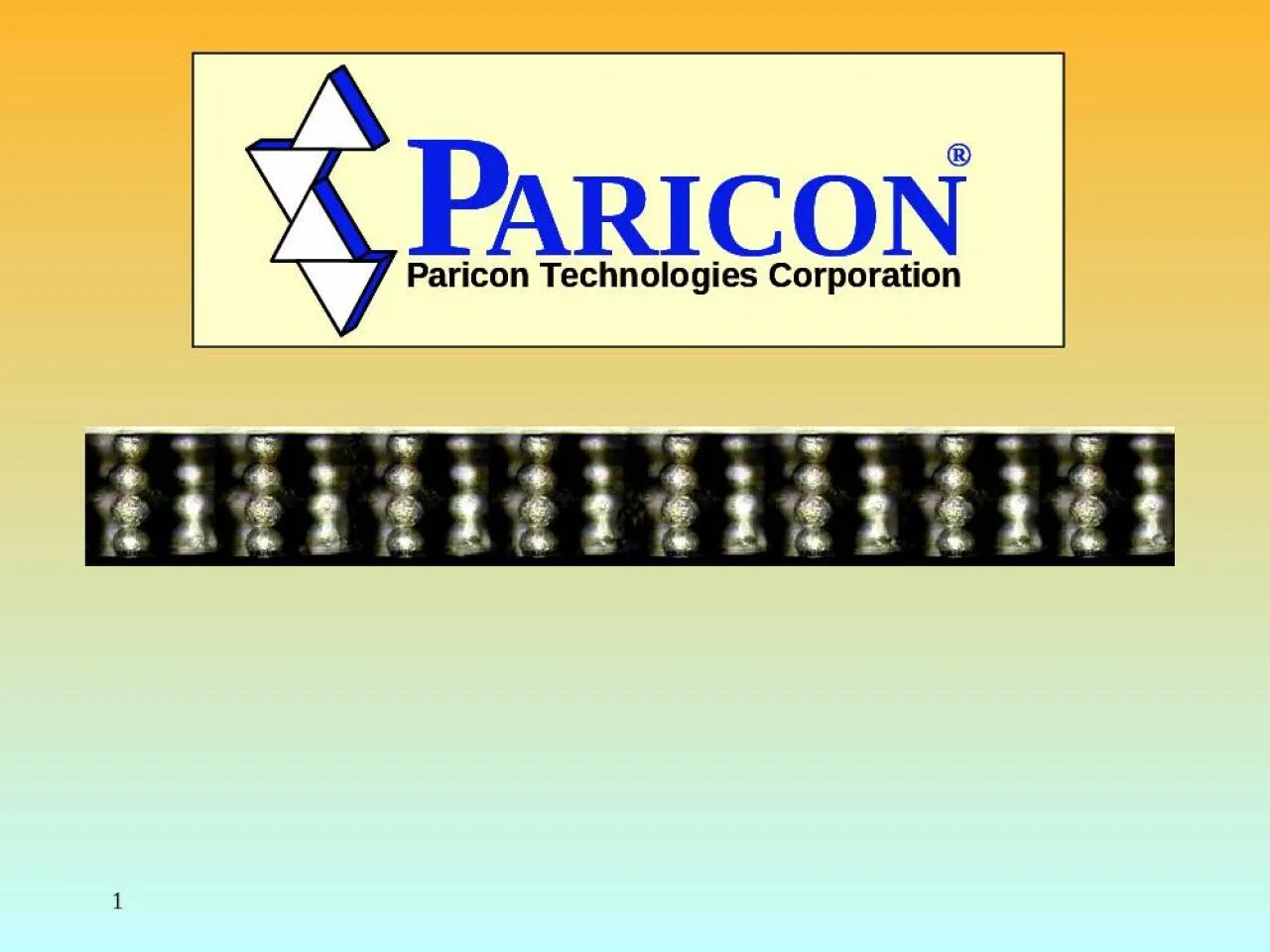 PPT-1 2 Paricon Company Overview