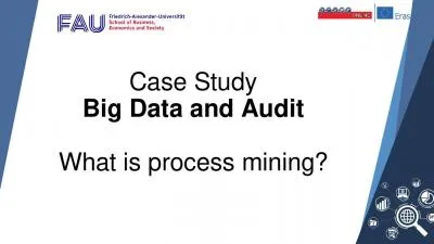 1 Case Study Big Data and Audit