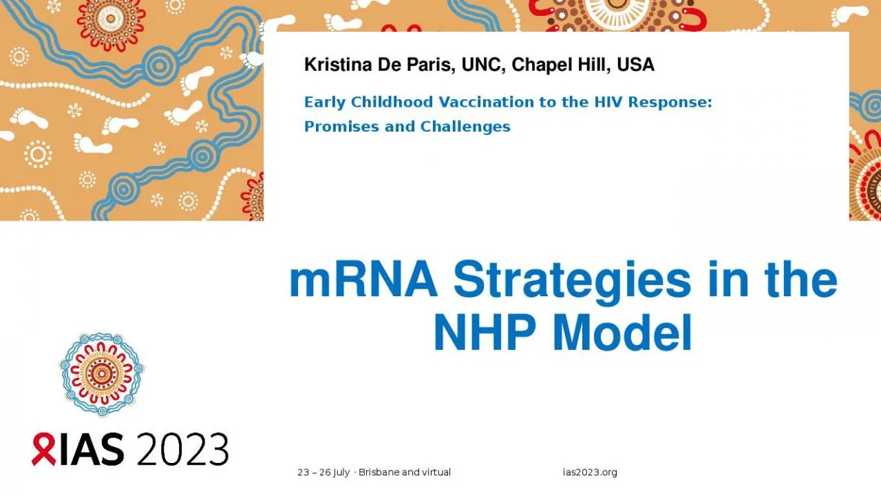 PPT-mRNA Strategies in the NHP Model