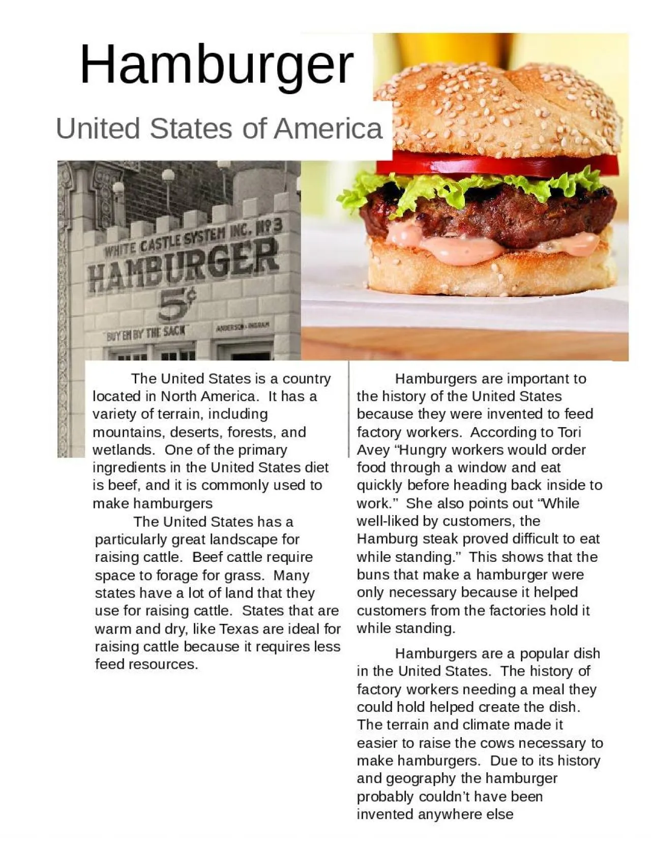 PPT-Hamburger United States of America