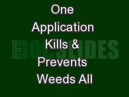 One Application Kills & Prevents Weeds All