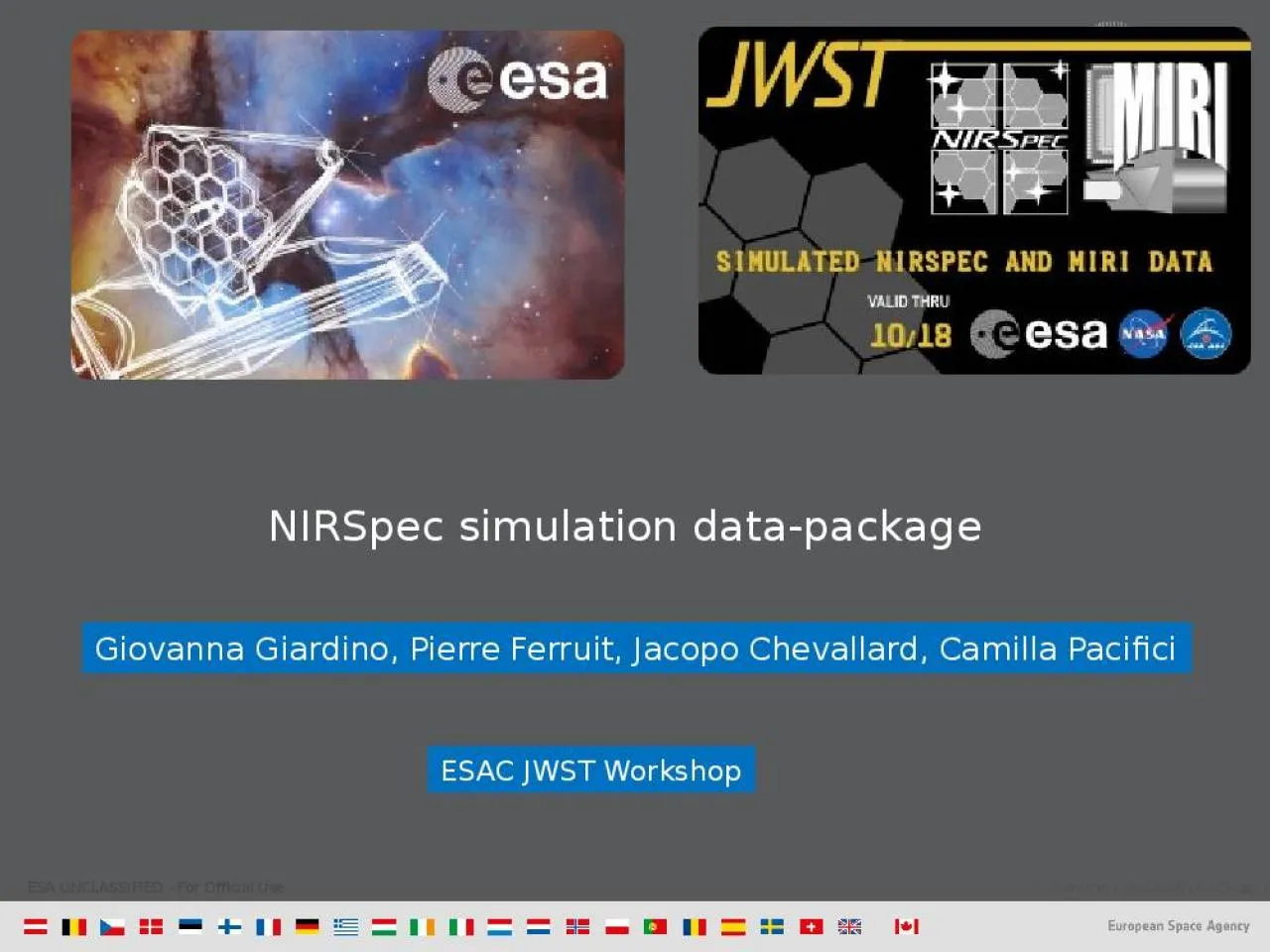 PPT-NIRSpec simulation data-package