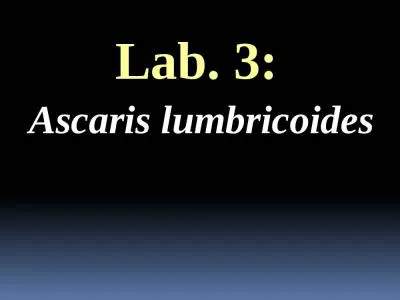 Lab. 3:   Ascaris   lumbricoides