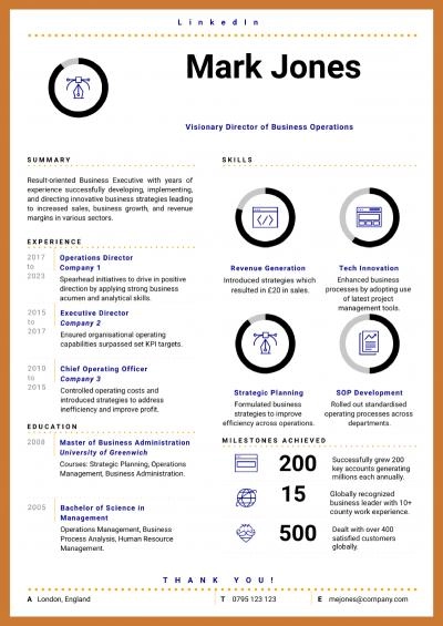 Infographic Resume Sample 