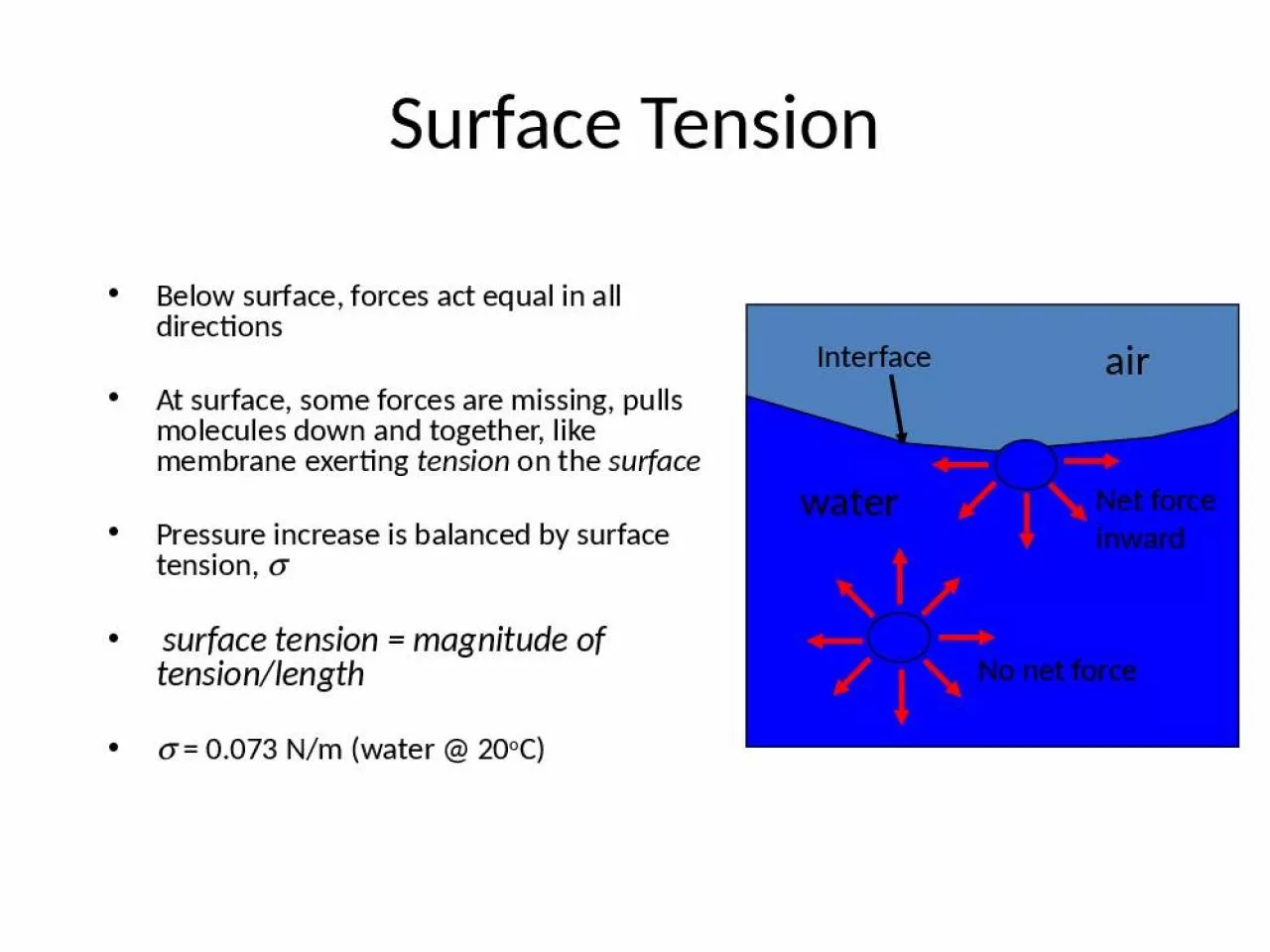 PPT-Surface Tension Below surface, forces act equal in all directions