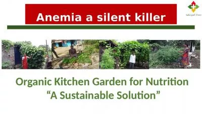 Anemia a silent killer Organic Kitchen Garden for Nutrition