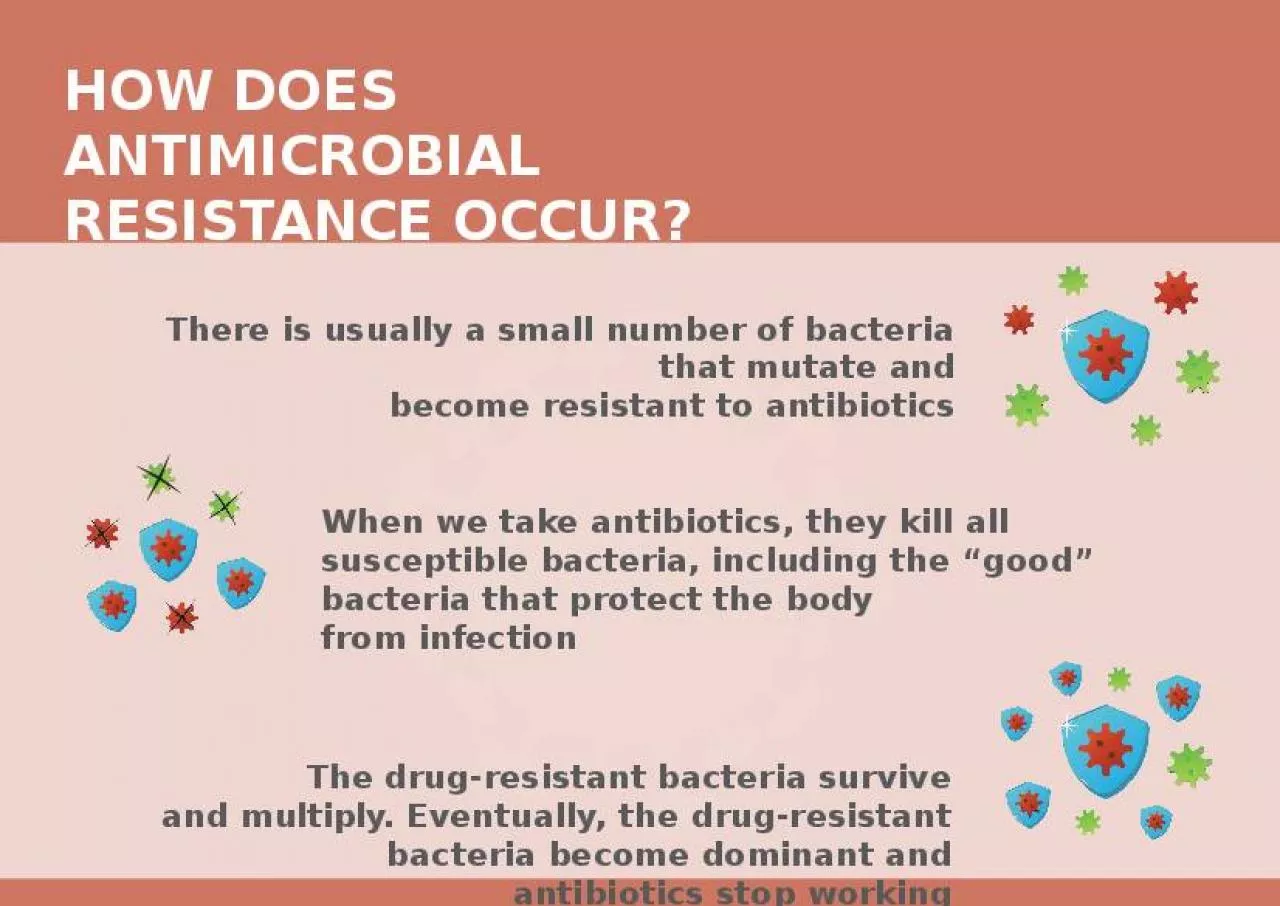 PPT-There is usually a small number of bacteria that mutate