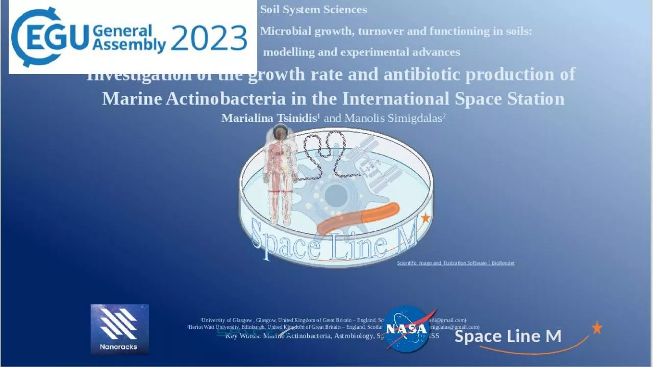 PPT-Investigation of the growth rate and antibiotic production of