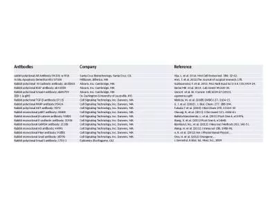 Antibodies Company Reference