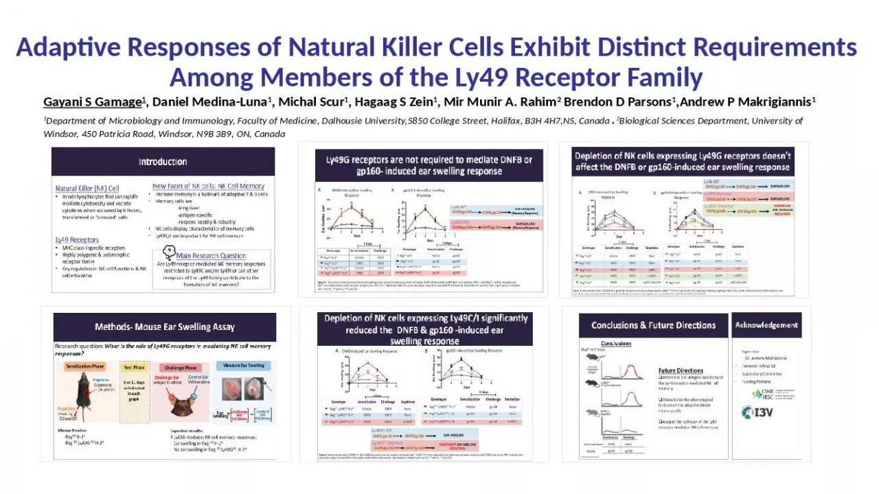 PPT-Adaptive Responses of Natural Killer Cells Exhibit Distinct Requirements Among Members