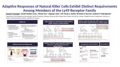 Adaptive Responses of Natural Killer Cells Exhibit Distinct Requirements Among Members of the Ly49