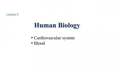 Lecture   5 Cardiovascular