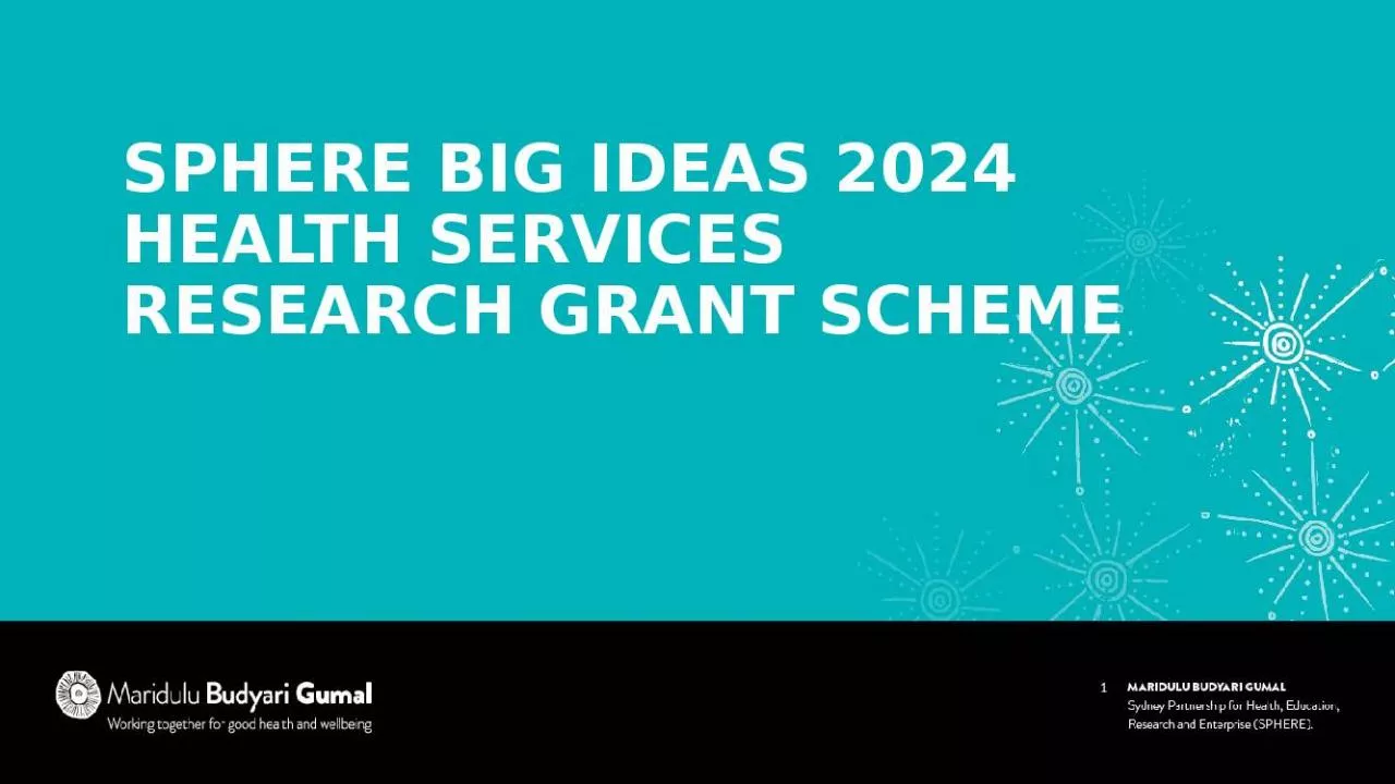 PPT-SPHERE BIG Ideas 2024 Health Services Research Grant Scheme