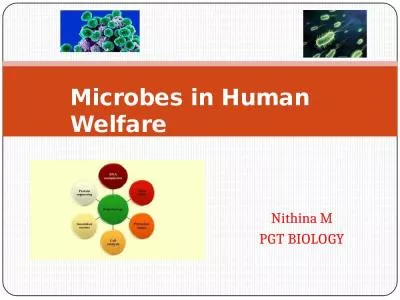 Nithina  M PGT   BIOLOGY