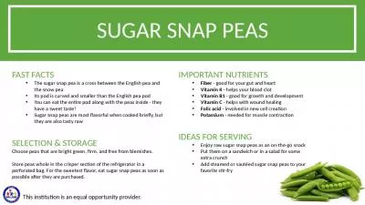 FAST FACTS The sugar snap pea is a cross between the English pea and the snow pea