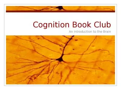 Cognition Book Club An Introduction to the Brain