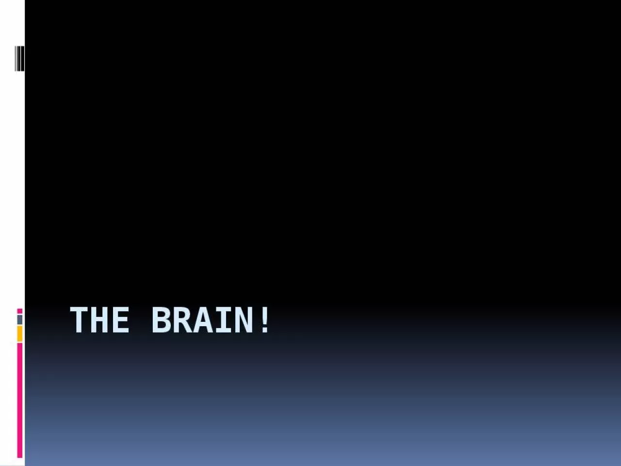 PPT-The Brain! Your brain is the most complex, mind-blowing organ in the Universe