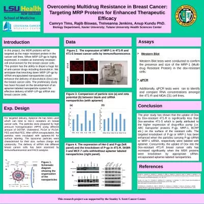 Overcoming Multidrug Resistance in Breast Cancer: Targeting MRP Proteins for Enhanced Therapeutic E