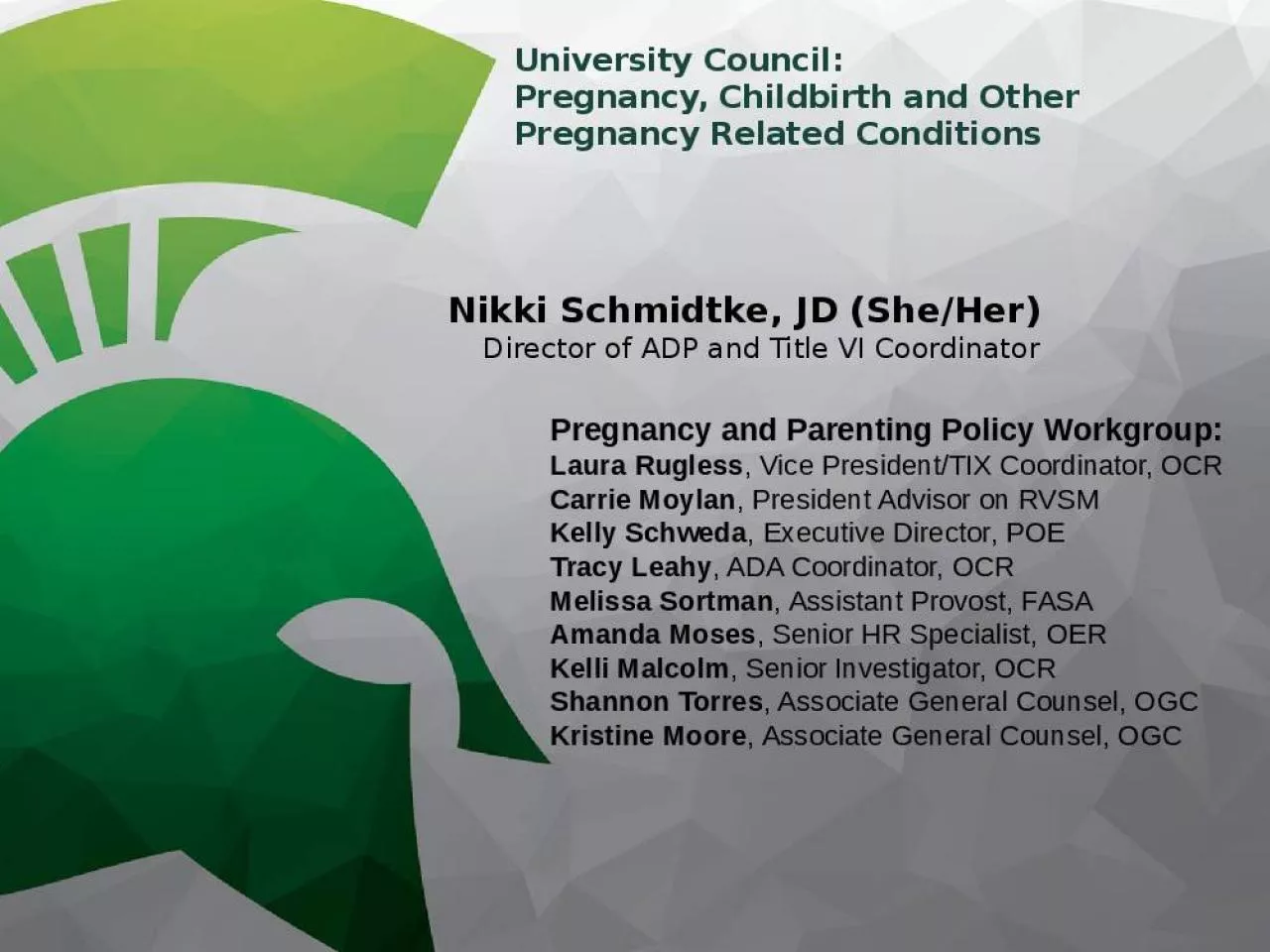 PPT-University Council: Pregnancy, Childbirth and Other Pregnancy Related Conditions 