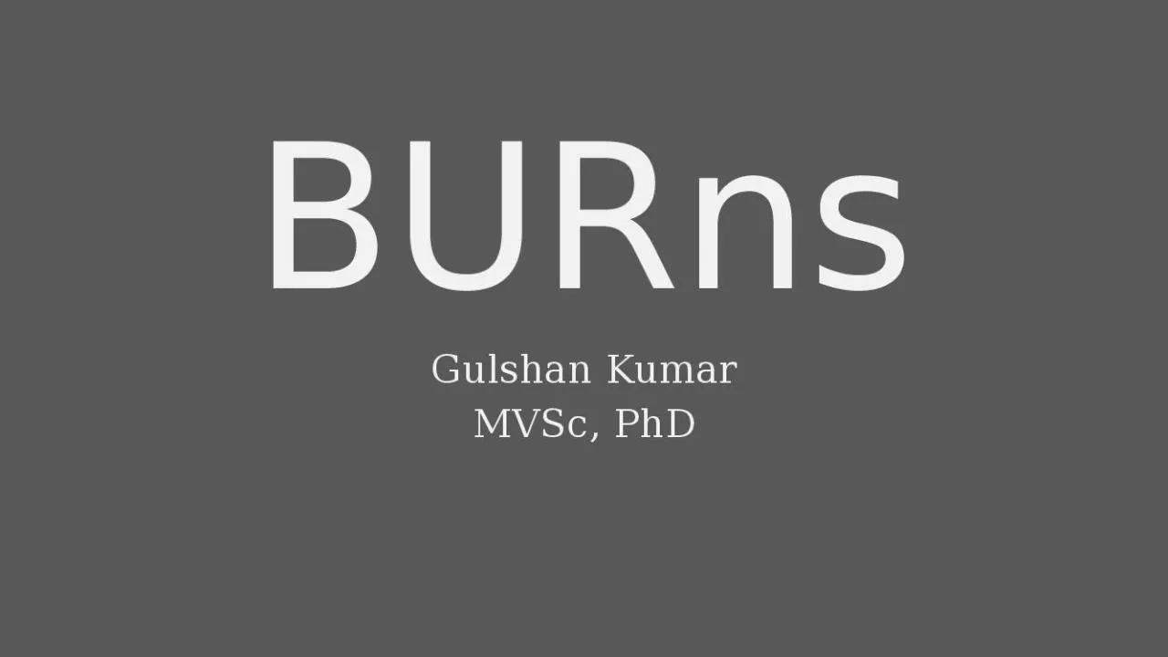 PPT-BURns Gulshan Kumar MVSc