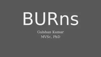 BURns Gulshan Kumar MVSc