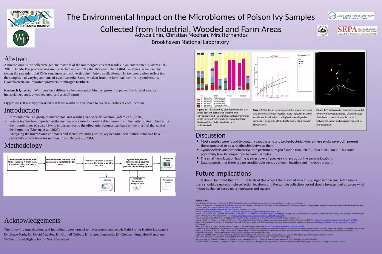 PPT-The Environmental Impact on the Microbiomes of Poison Ivy Samples Collected from Industrial,