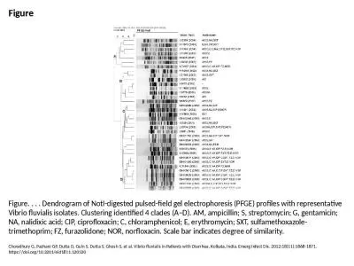 Figure Figure. . . . Dendrogram of NotI-digested pulsed-field gel electrophoresis (PFGE)