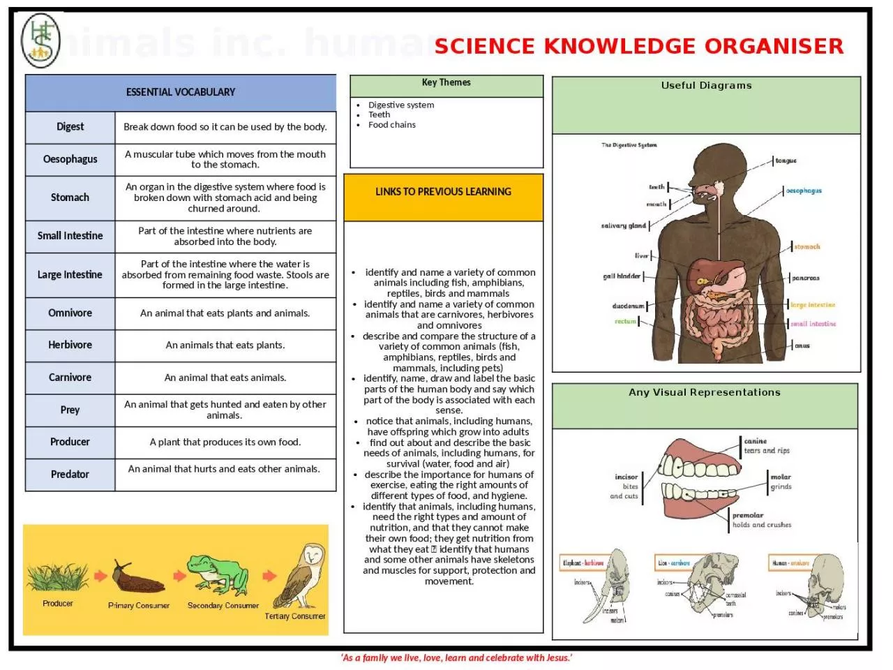 PPT-Animals inc. humans SCIENCE KNOWLEDGE ORGANISER