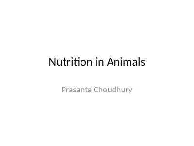 Nutrition in Animals Prasanta