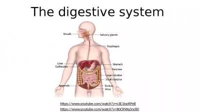 The digestive system https://www.youtube.com/watch?v=v3E1txcKPe8