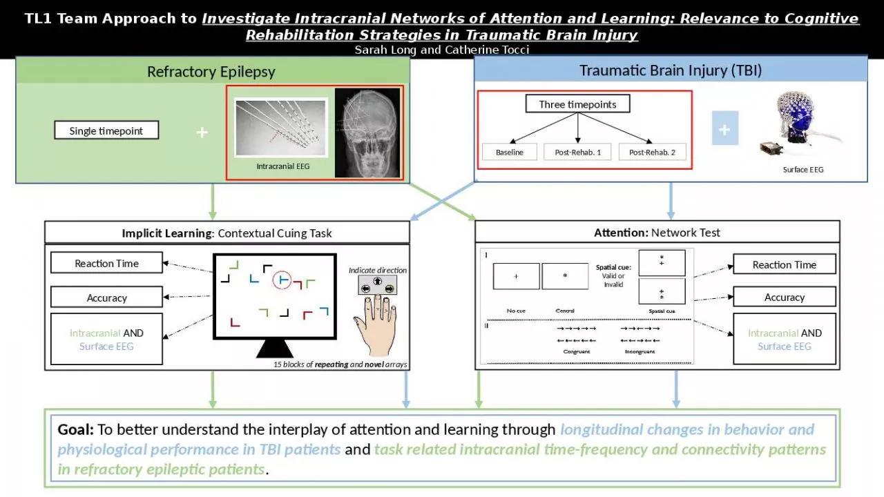 PPT-TL1 Team Approach to Investigate Intracranial Networks of Attention and Learning: Relevance