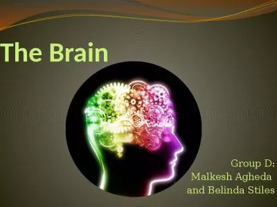 The Brain Group D: Malkesh