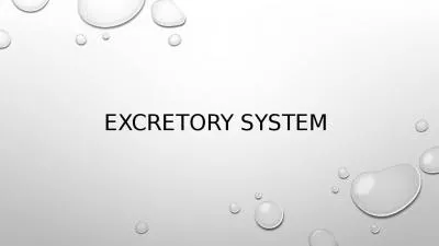 EXCRETORY SYSTEM  The  excretory system