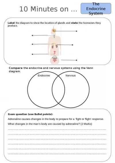 10 Minutes on ... The Endocrine System