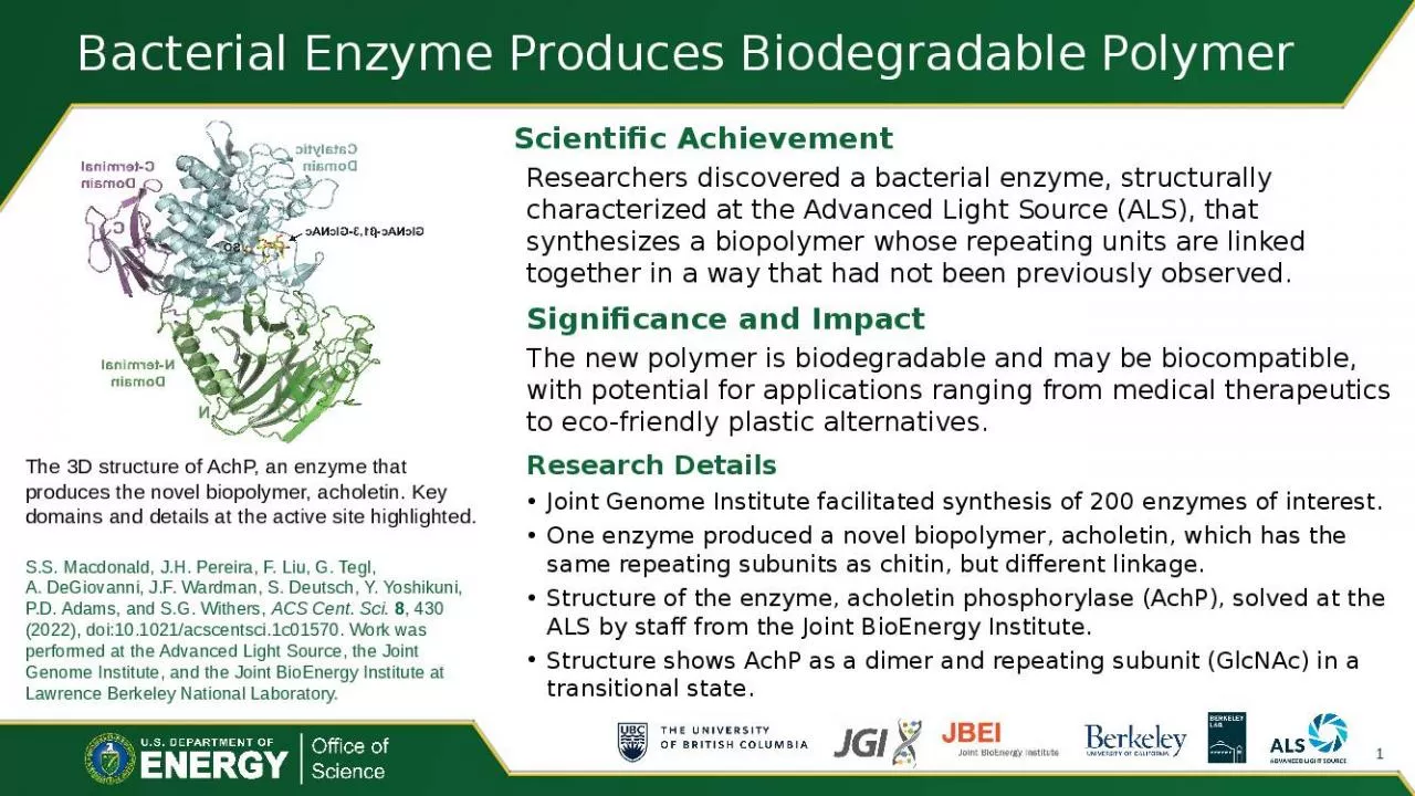 PPT-Bacterial Enzyme Produces Biodegradable Polymer