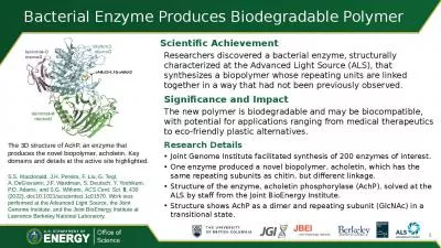 Bacterial Enzyme Produces Biodegradable Polymer