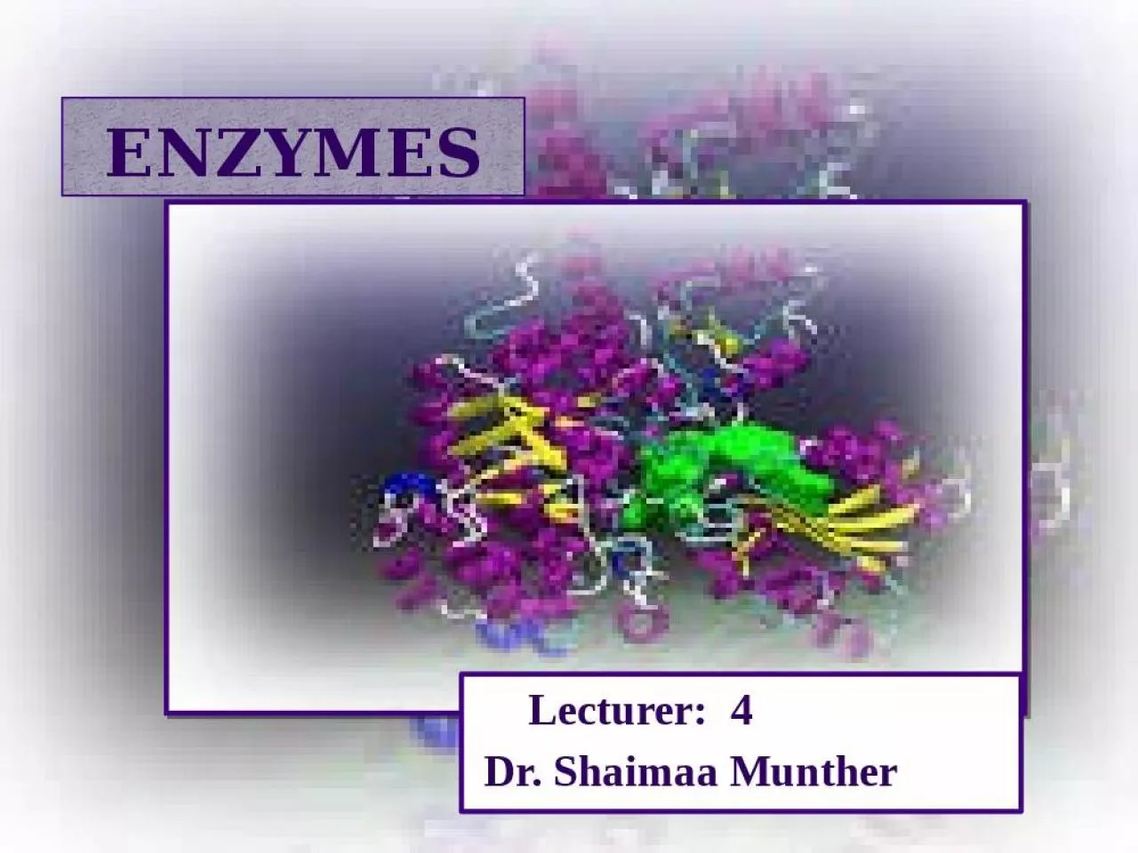 PPT-ENZYMES Lecturer: 4