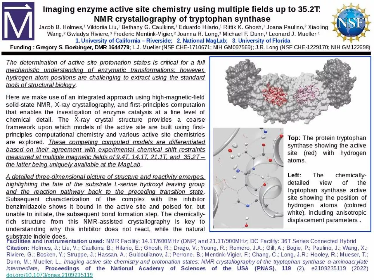 PPT-The determination of active site protonation states is critical for a full mechanistic