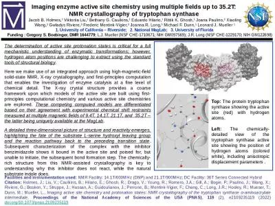 The determination of active site protonation states is critical for a full mechanistic understandin