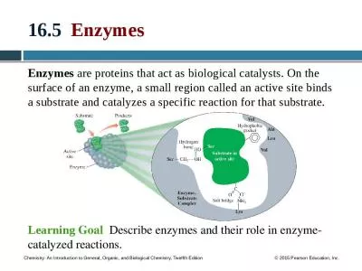 16.5   Enzymes Enzymes  are proteins that act as biological catalysts.