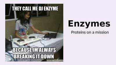 Enzymes Proteins on a mission