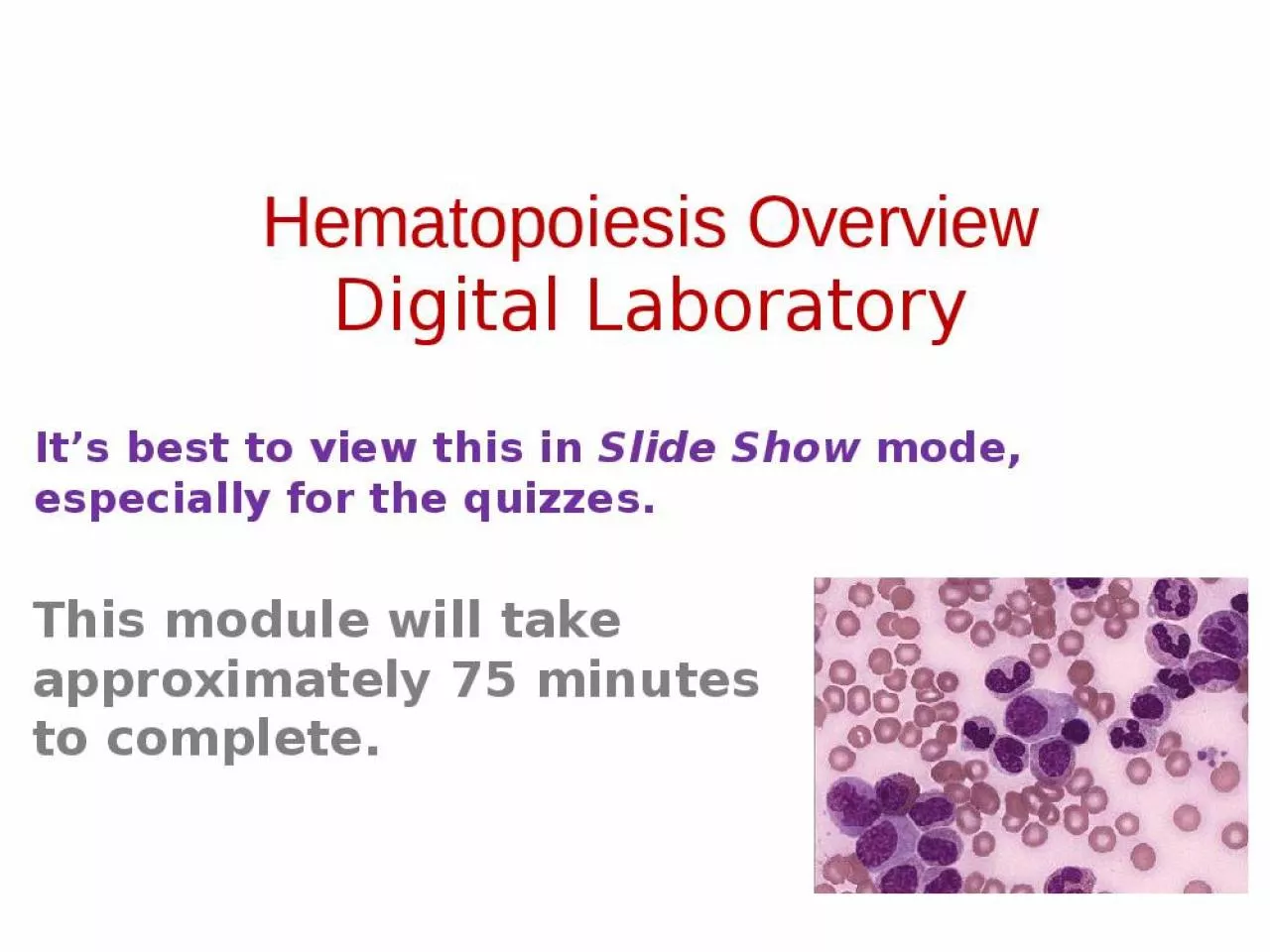 PPT-Hematopoiesis Overview Digital Laboratory