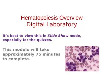 Hematopoiesis Overview Digital Laboratory