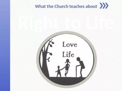 Right to Life What the Church teaches about