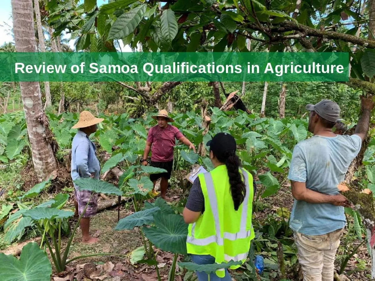 PPT-Review of Samoa Qualifications in Agriculture