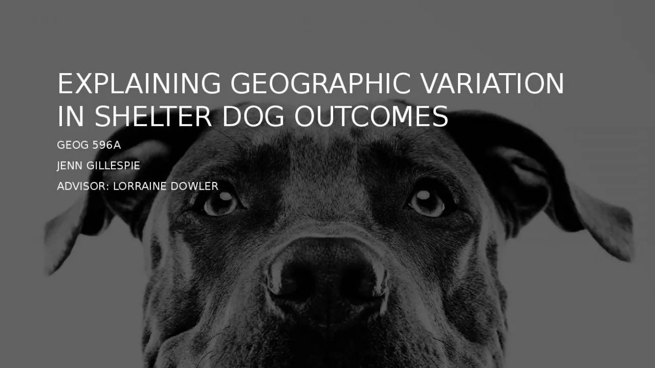 PPT-Explaining Geographic variation in shelter DOG outcomes