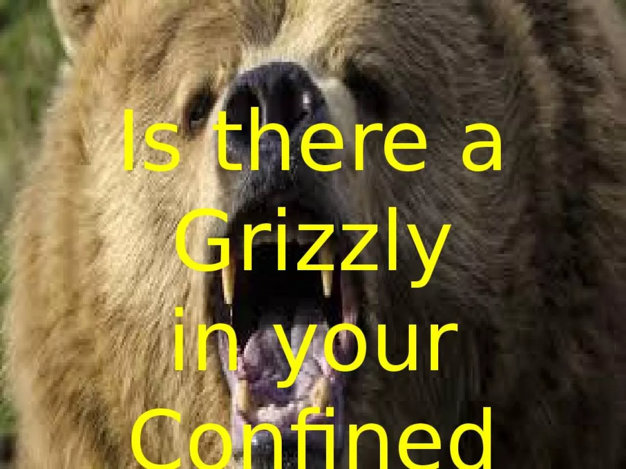 PPT-Is there a Grizzly in your