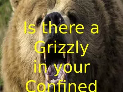 Is there a Grizzly  in your