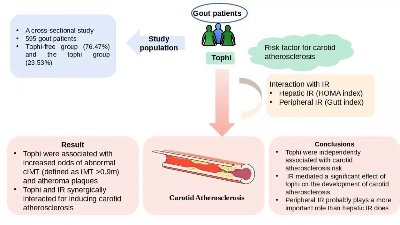 PPT-Carotid Atherosclerosis Study population